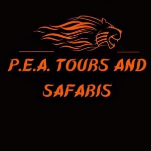 PEA Tours and Safaris LOGO